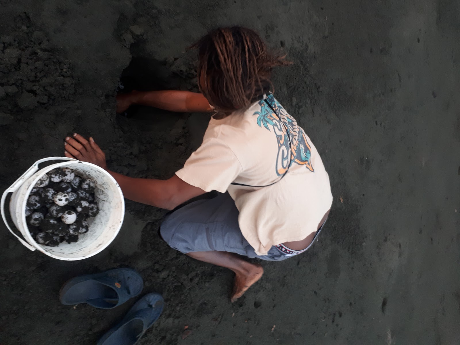 Chure on the beach with turtle eggs